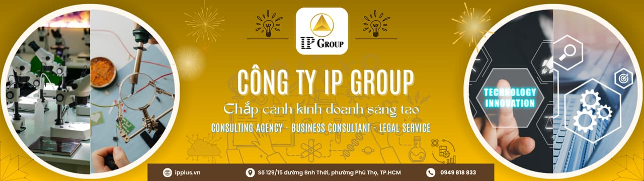 Hoạt động chuyên môn của IP GROUP