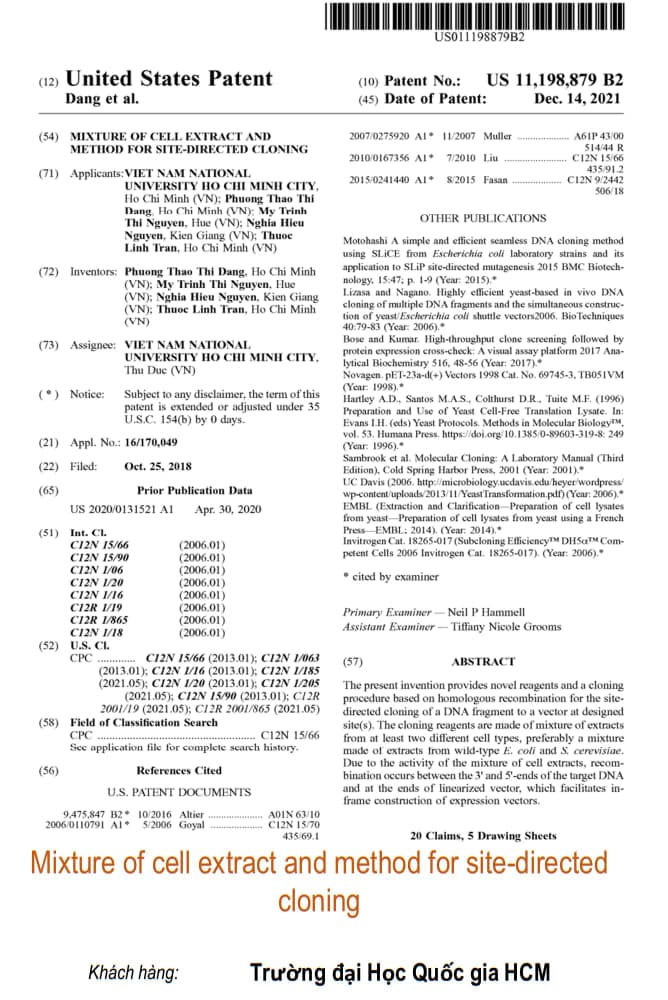 Mixture of cell extract and method for site-directed cloning