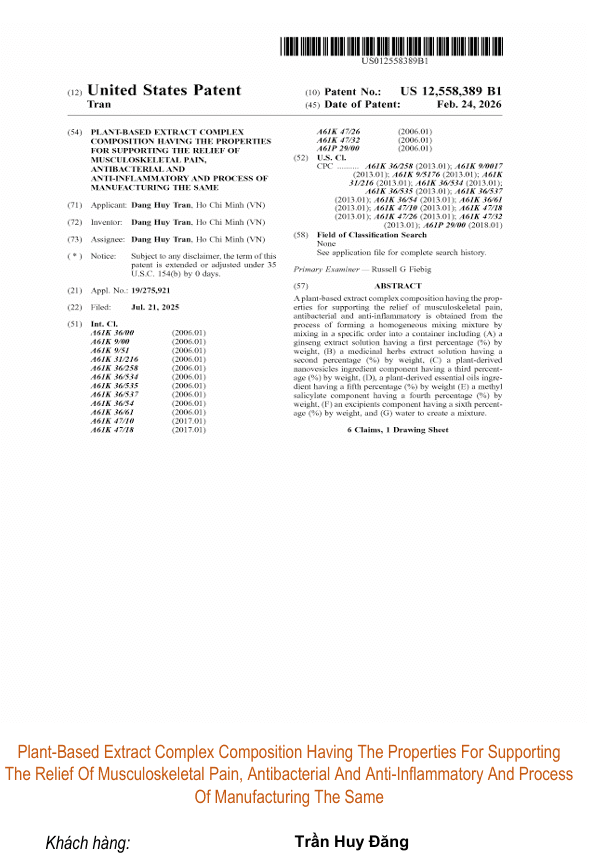 Plant-Based Extract Complex Composition Having The Properties For Supporting The Relief Of Musculoskeletal Pain, Antibacterial And Anti-Inflammatory And Process Of Manufacturing The Same